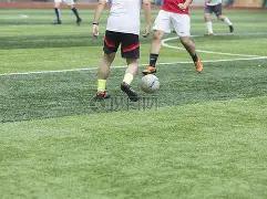 拜仁联赛首,美因茨主场,逆袭获胜,澳门威尼斯人,威尼斯人官网,Venetian