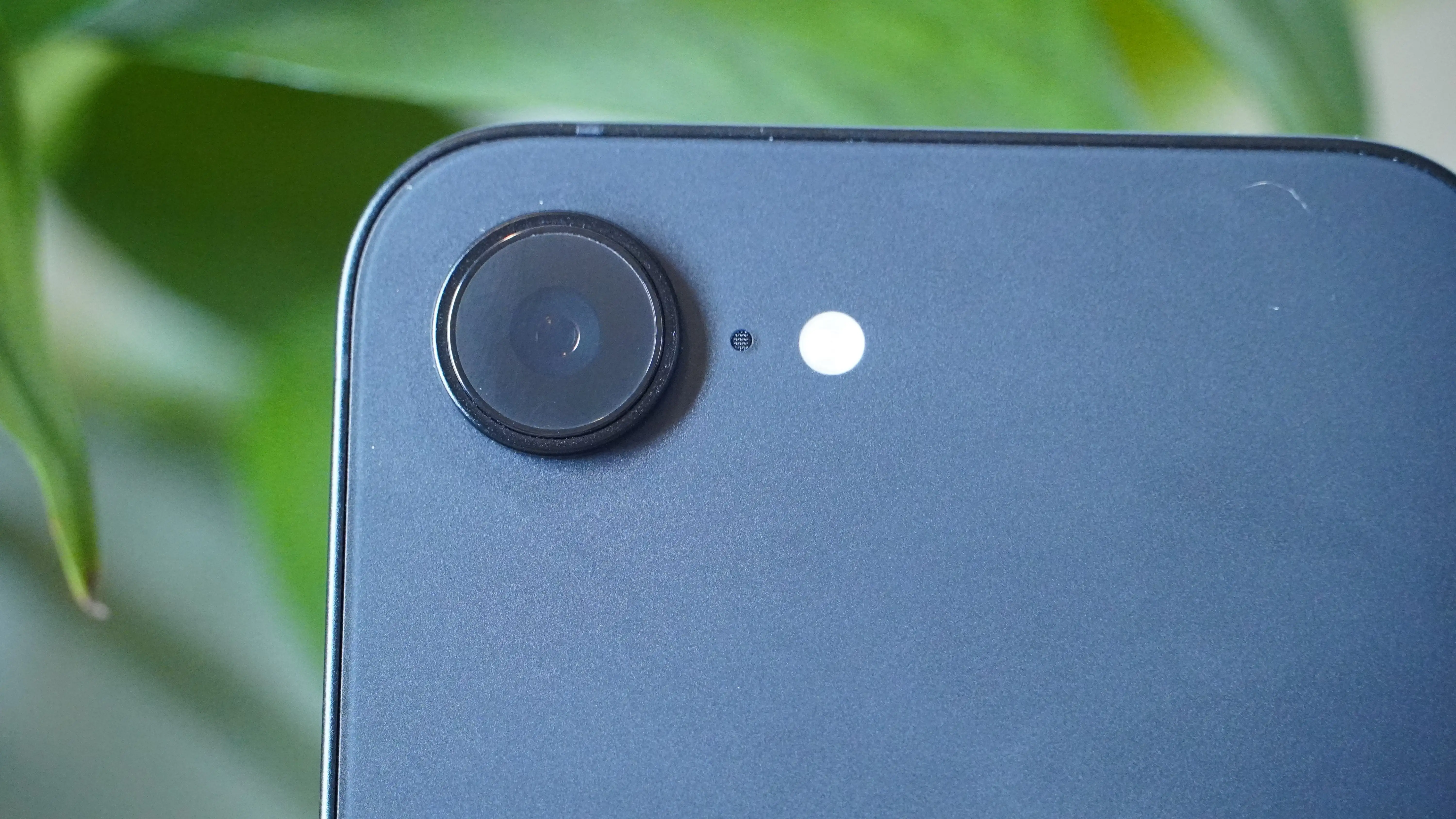 独家揭秘,分钟制胜一,博尼能否化,澳门威尼斯人,威尼斯人官网,Venetian