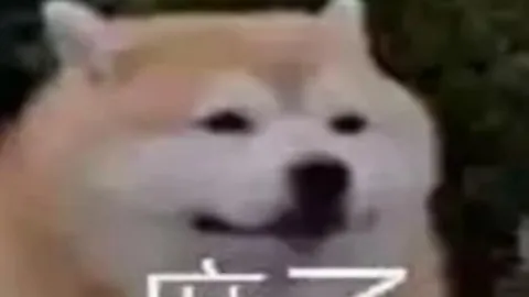 中国U20亚洲杯首战胜利：2-1击败卡塔尔，2025年2月13日迎来开门红